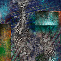 Digital Images
