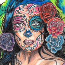 drawings