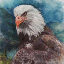 watercolor