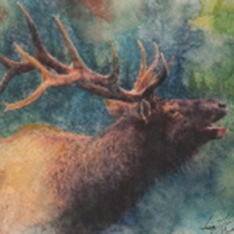 watercolor