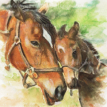 watercolor